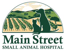 Main Street Small Animal Hospital