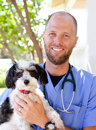 Templeton Veterinarians | Main Street Small Animal Hospital | Templeton, CA